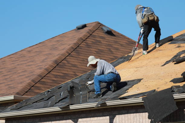 Best Gutter Installation and Repair  in New Johnsonville, TN